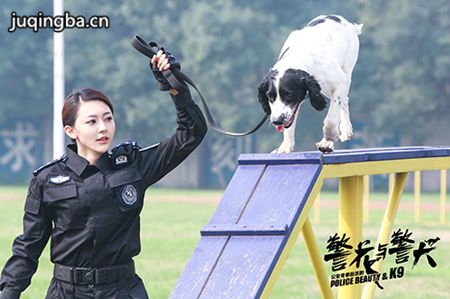 뾯Ȯ