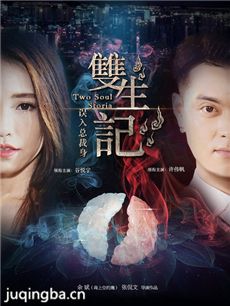 双生记之误入总裁身剧情介绍