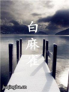电影白麻雀剧情介绍
