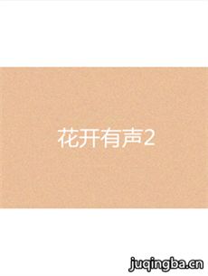 2Ӿ纣