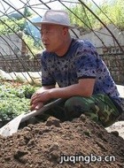 尮ԱС