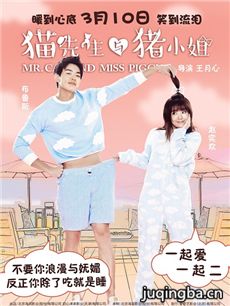 猫先生与猪小姐剧情介绍