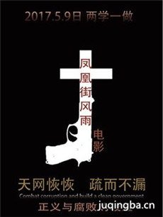 电影凤凰街风雨剧情介绍