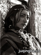 ƤϵĻԱʾ