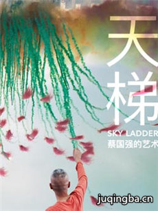 电影《天梯:蔡国强的艺术》剧情介绍