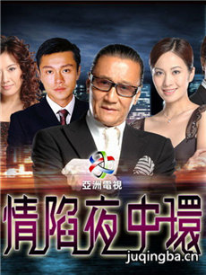 情陷夜中环剧情介绍(1-30全集)