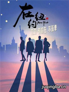 在纽约剧情介绍(1-40全集)