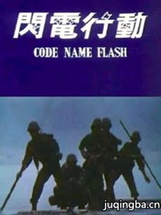 电视剧《闪电行动》剧情介绍(1-30全集)