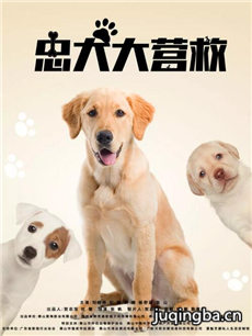 电影忠犬大营救剧情介绍