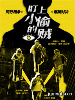 电影盯上小偷的贼剧情介绍