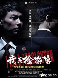 我是检察官剧情介绍