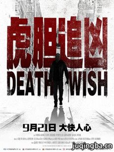 虎胆追凶剧情介绍