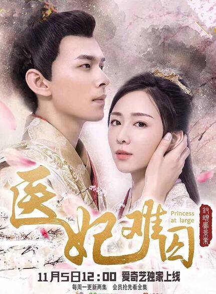 医妃难囚海报