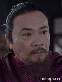 陈旭明 (王大学士 饰)