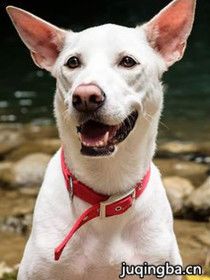 ̨������(���� ��)