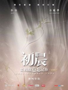 初晨,是我故意忘记你剧情介绍(1-40全集)