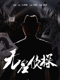 无名侦探剧情介绍(1-40全集)