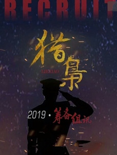 猎枭剧情介绍(1-50全集)