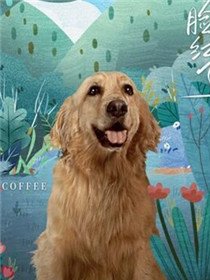 Coffee()