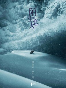 陌生的恋人剧情介绍(1-40全集)