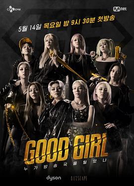 GOOD GIRL:谁洗劫了电视台(1-10全集)剧情介绍