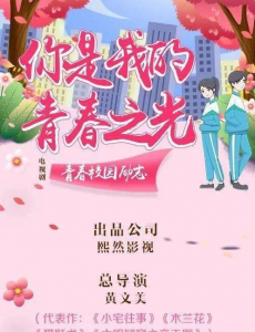 你是我的青春之光剧情介绍