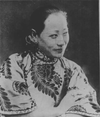王谢燕