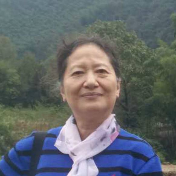 张韵华