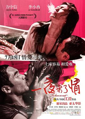 一夜未了情剧情介绍