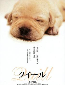 导盲犬小Q クイール剧情介绍