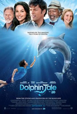 海豚的故事 Dolphin Tale剧情介绍