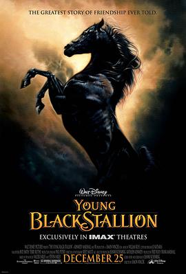 С The Young Black Stallion