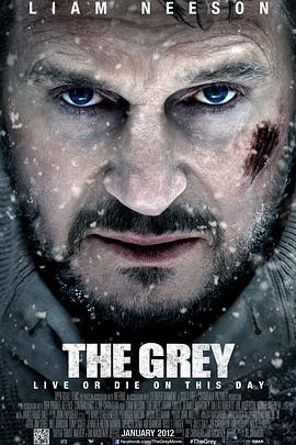 Ǵս The Grey