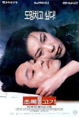 绿鱼 剧情介绍