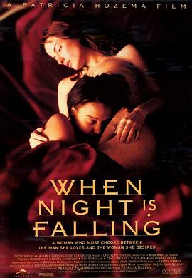 夜幕低垂 When Night Is Falling剧情介绍