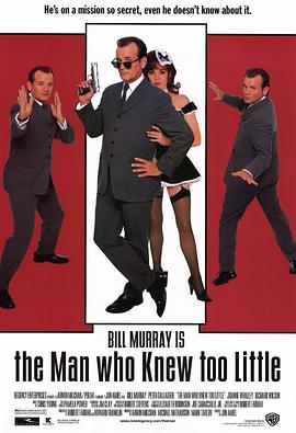 特工插班生 The Man Who Knew Too Little剧情介绍