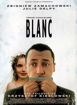 蓝白红三部曲之白 Trois couleurs: Blanc剧情介绍