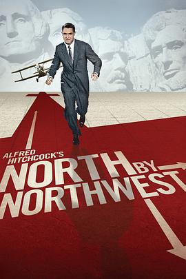 西北偏北 North by Northwest剧情介绍