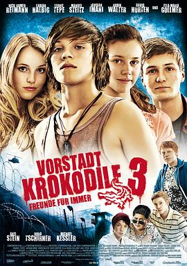 3 Vorstadtkrokodile 3