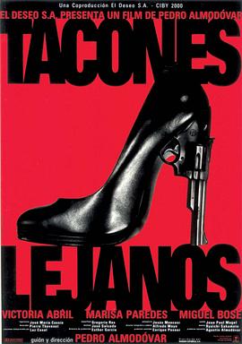 情迷高跟鞋 Tacones lejanos剧情介绍