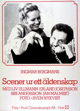 婚姻生活 Scener ur ett ktenskap剧情介绍