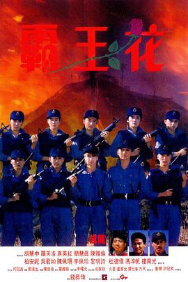 霸王花剧情介绍