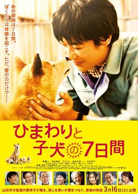 向日葵与幼犬的7天 ひまわりと子犬の7日間剧情介绍
