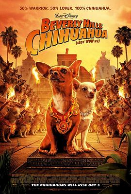 源酷耳抑抑 Beverly Hills Chihuahua丞秤初府