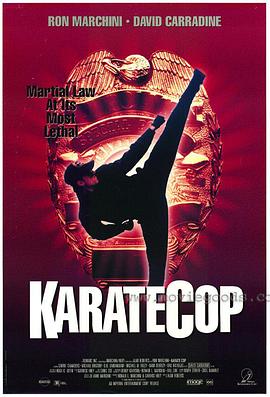 ټ٪޼ Karate Cop