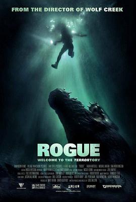 �������㵺 Rogue�������