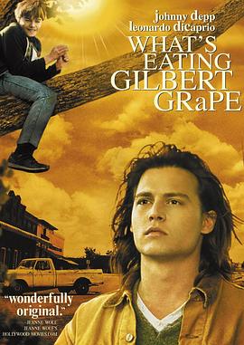 不一样的天空 What's Eating Gilbert Grape剧情介绍