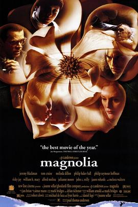 木兰花 Magnolia剧情介绍