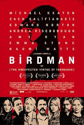 鸟人 Birdman or (The Unexpected Virtue of Ignorance)剧情介绍