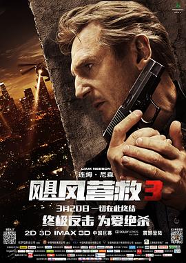 飓风营救3 Taken 3剧情介绍